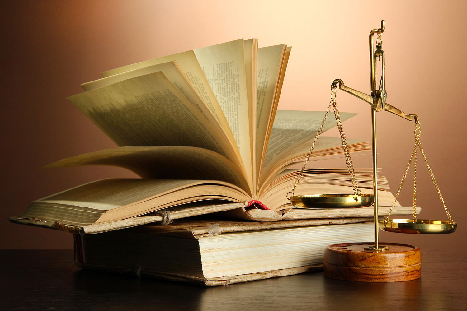 Derechos Humanos y Amparo<br>